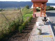Sadenie kríkov 2009